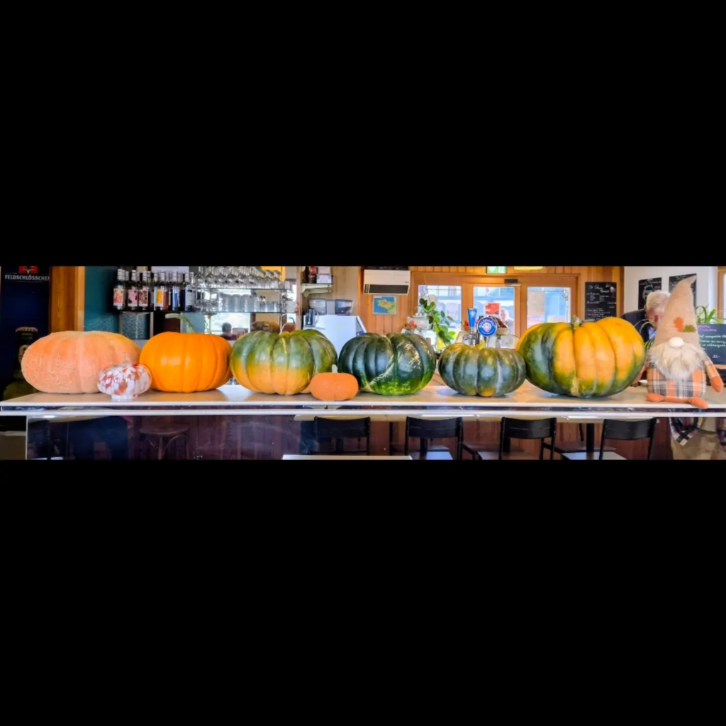 🍂🎃 Résultats du concours de la plus grosse courge !🎃🍂 🥳 Et les gagnants sont… 🥳 🏆 La plus grosse courge (au poids) revient à Madeleine, avec une courge de 20,600 kg! 🎃👏 🎯Le poids le mieux deviné revient à Rone, qui avait estimé le poids à 20,25 kg ! Bravo ! 🥳👏 Un grand merci à toutes et à tous pour votre participation! Il y avait du niveau cette année ! 😲 🍂 Bravo aux gagnants ! 🍂